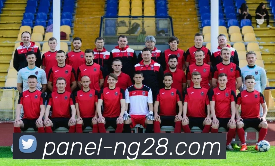 南宫28平台生态图