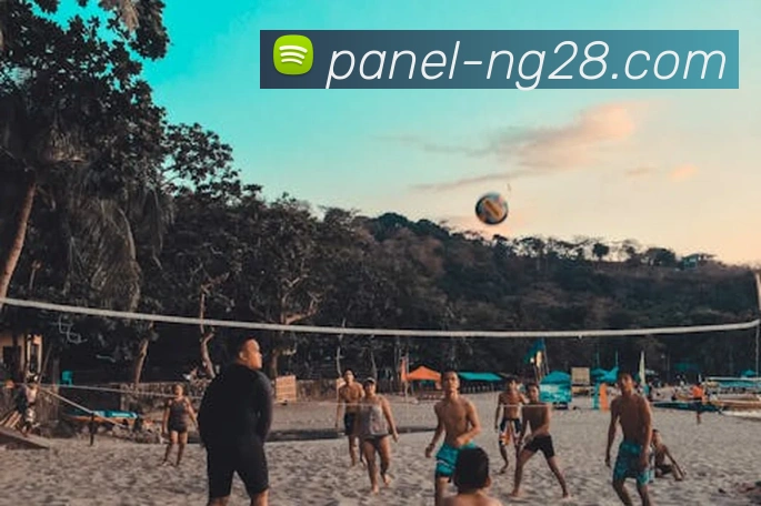 南宫28APP 封面图